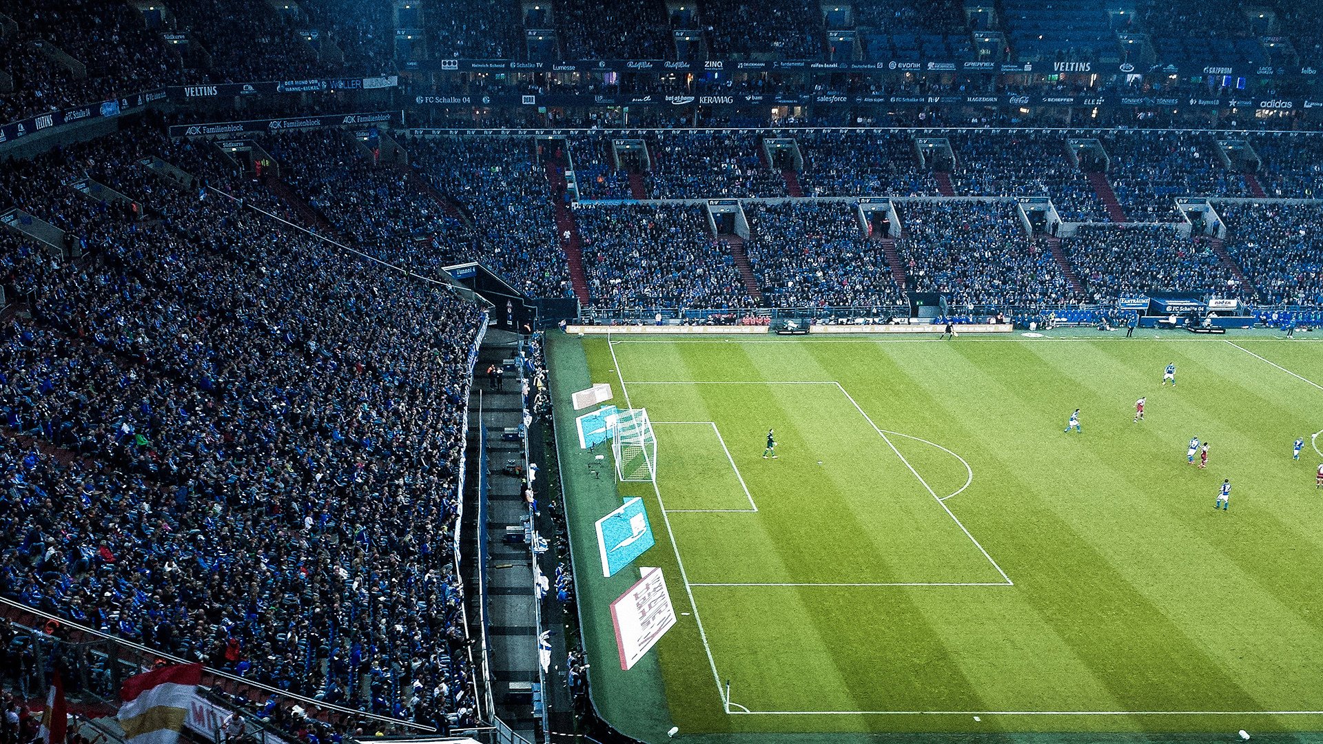 爱游戏体育-伊朗马术协会与非洲马术协会开展技术援助项目，提升当地水平。